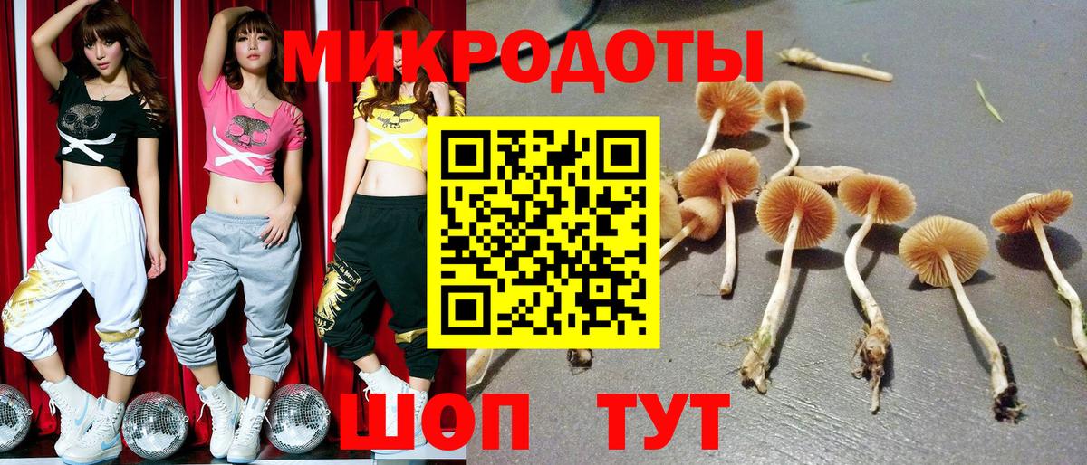 Дзержинский  Галлюциногенные грибы Magic Shrooms  Галлюциногенные грибы Psilocybe  Вход с VPN 