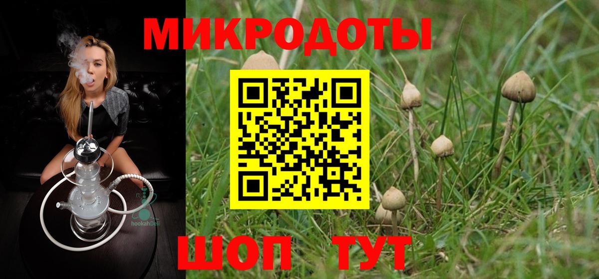 Псилоцибиновые грибы ЛСД Дзержинский